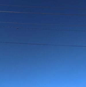 Meet your Posher, Larry